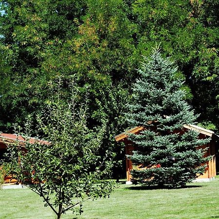 Villa Hedi Vendeghaz Dunakiliti Kültér fotó